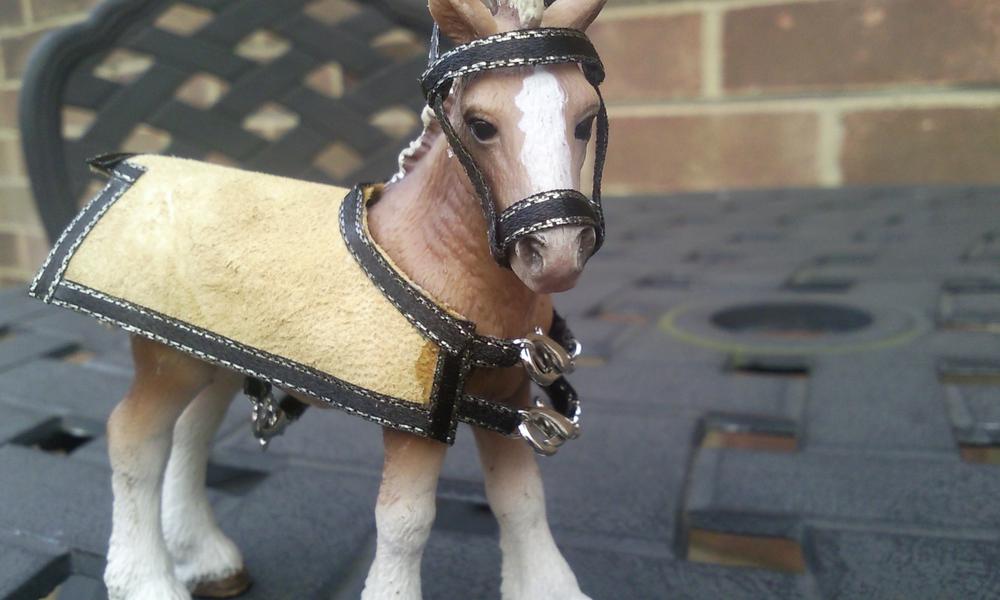 This is a rug for a Schleich sized model horse- its made of leather and i sewed the ribbon round the outside.