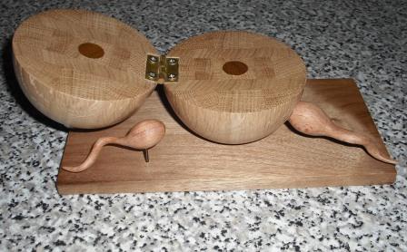 This homework project for my son was to create a model of a cell - we got a bit carried away and made three! The school has kept it for future demonstrations.